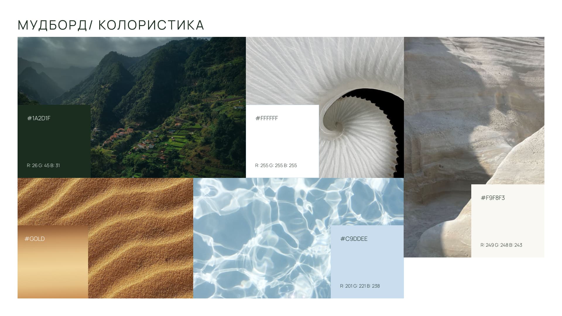 DelMar moodboard and palette