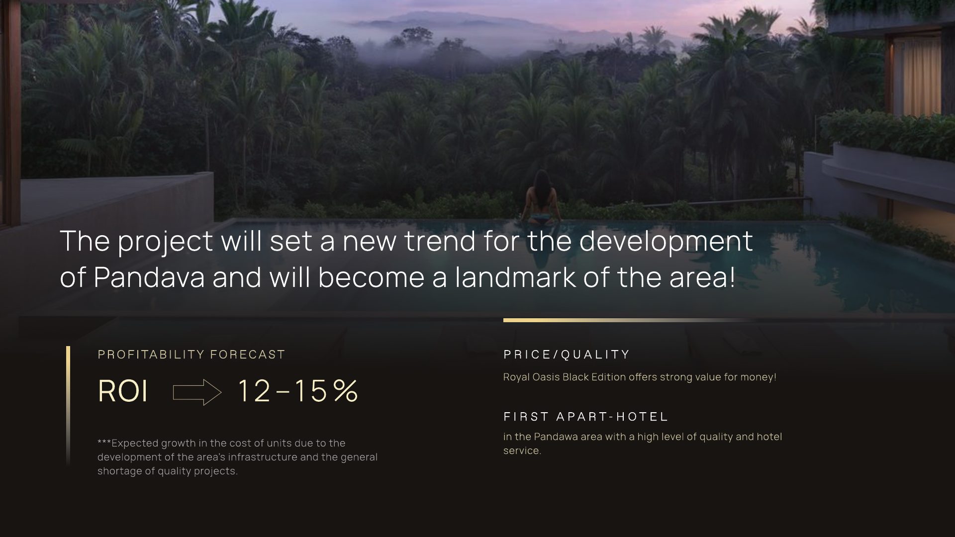 English investment conclusion and ROI slide